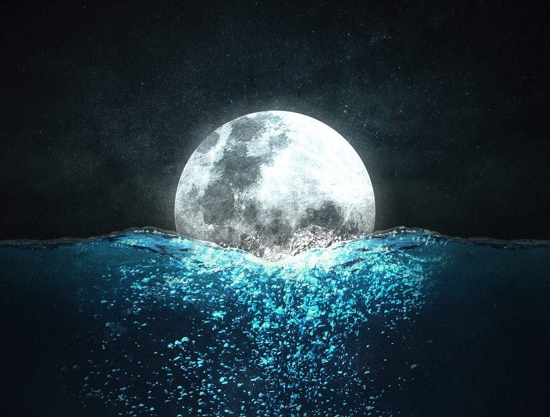 Full Moon in Aquarius and Fixed Planetary Energy This Week