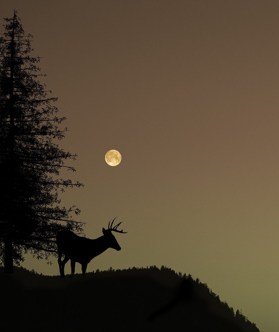 Full Moon in Mrigashira, The Wandering Deer