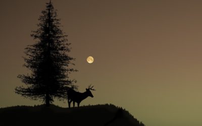 Full Moon in Mrigashira, The Wandering Deer