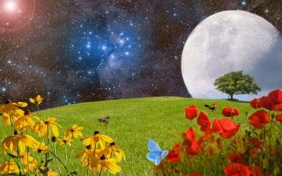 Full Moon in Virgo, Spring Equinox & Happy Holi!